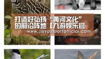 打造好弘扬“黄河文化”的前沿阵地【九游娱乐官方网站】