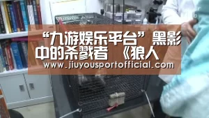 “九游娱乐平台”黑影中的杀戮者 《狼人崛起》评测(图2) 九游娱乐平台